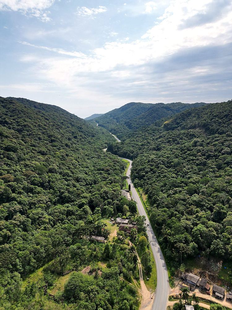 Estrada do Rastro da Serpente entre a Mata Atlântica, próximo a Apiaí/SP